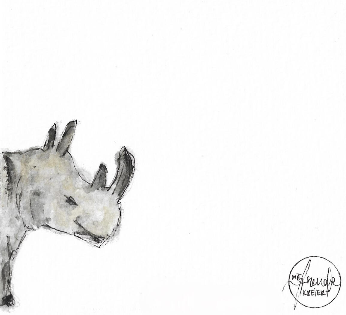 Bild Nashorn
