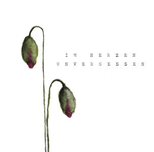Papaver