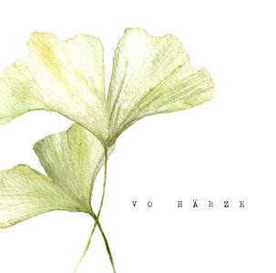 Ginko grün