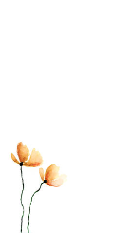 Tova _LK